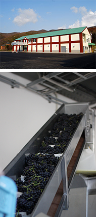 ワイナリー写真